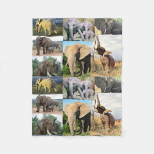 Elephant color photo fleece blanket
