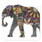 Elephant Colourful
