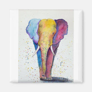 Elephant colourful watercolour magnet