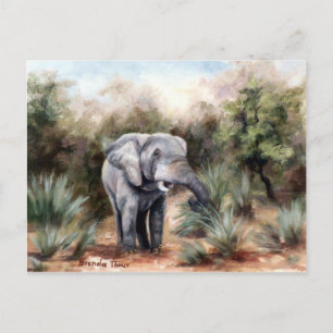 Elephant Coming Through Postcard