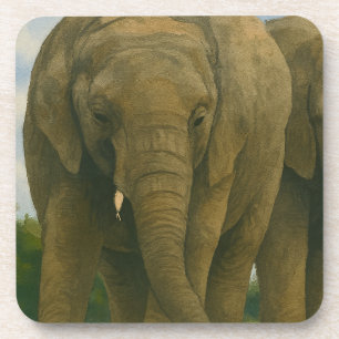 Elephant Companions in Savannah Light Coaster