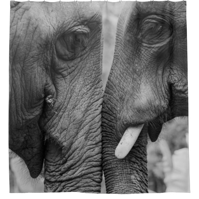 ELEPHANT COUPLE SHOWER CURTAIN (Front)