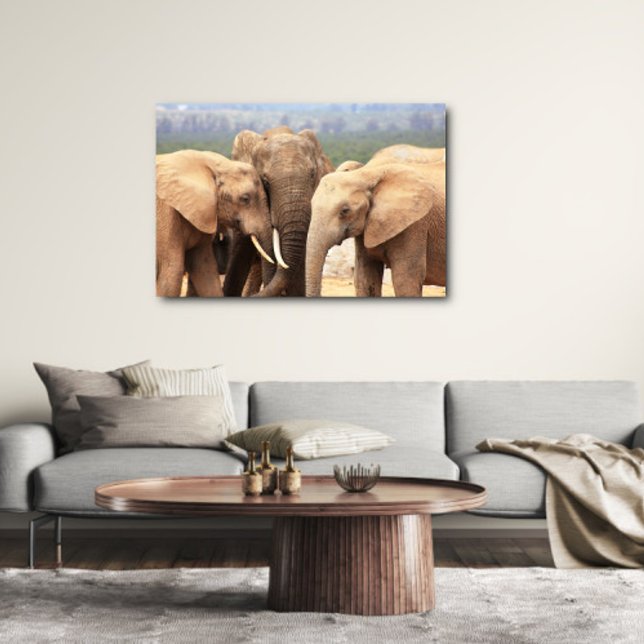 Elephant cuddle Canvas Framed Print (Creator Uploaded)