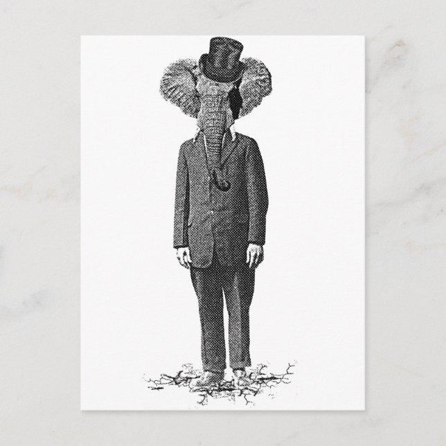 Elephant dandy postcard (Front)