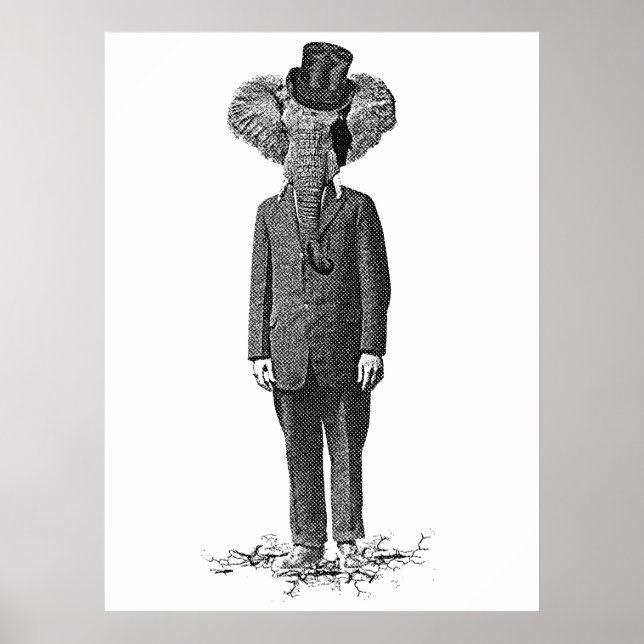Elephant dandy poster (Front)