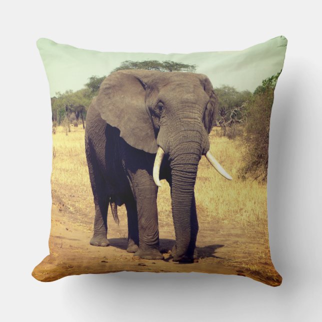 Elephant Decorative Accent Throw Pillow (Front)