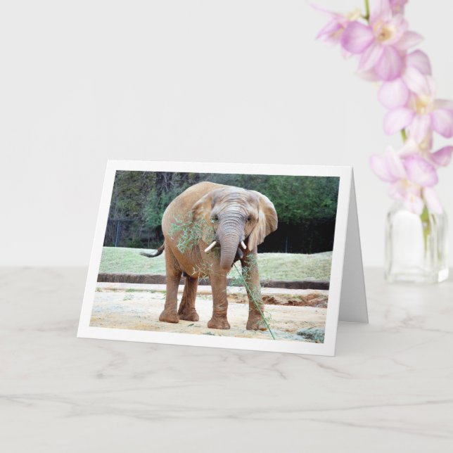 Elephant Eating Card (Orchid)