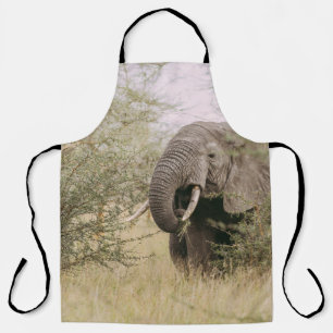 ELEPHANT EATING OFF A TREE APRON
