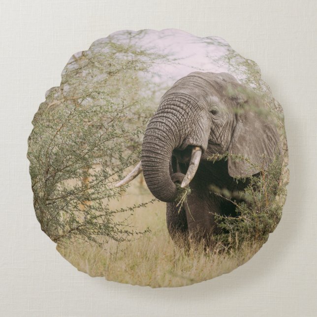 ELEPHANT EATING OFF A TREE ROUND CUSHION (Front)