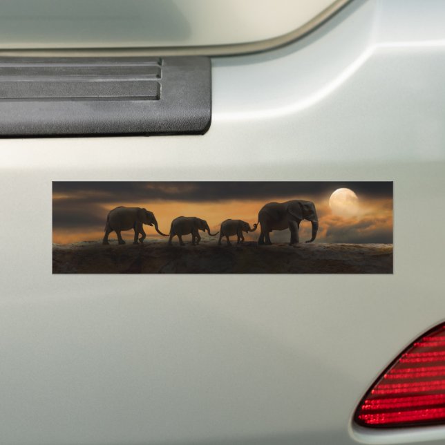 ELEPHANT ELEPHANTS BUMPER STICKERS (On Car)