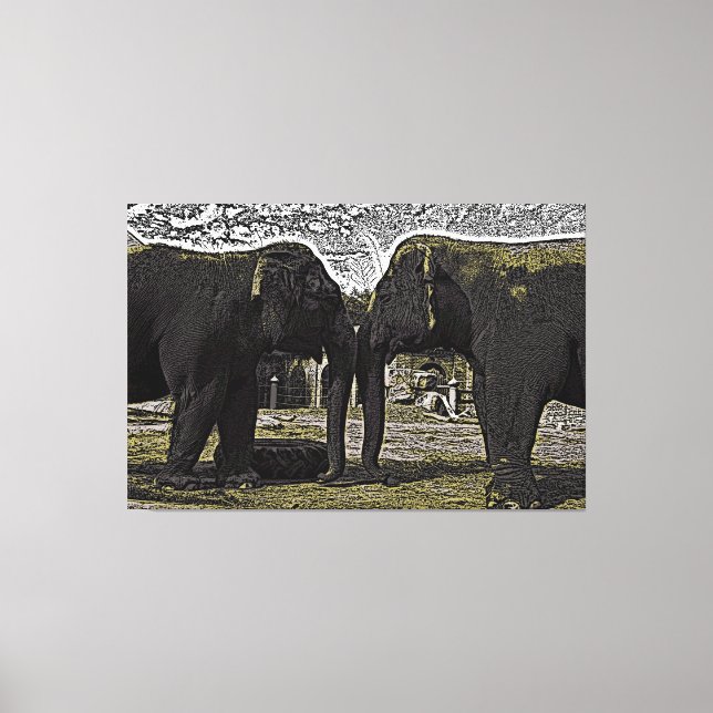 Elephant Eyes Canvas Print (Front)