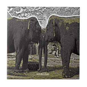 Elephant Eyes Tile