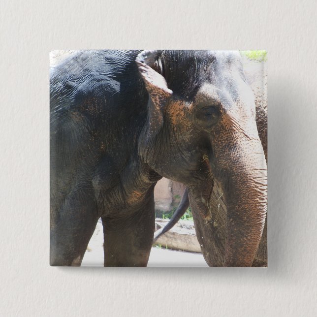 Elephant face 15 cm square badge (Front)