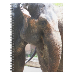 Elephant face notebook
