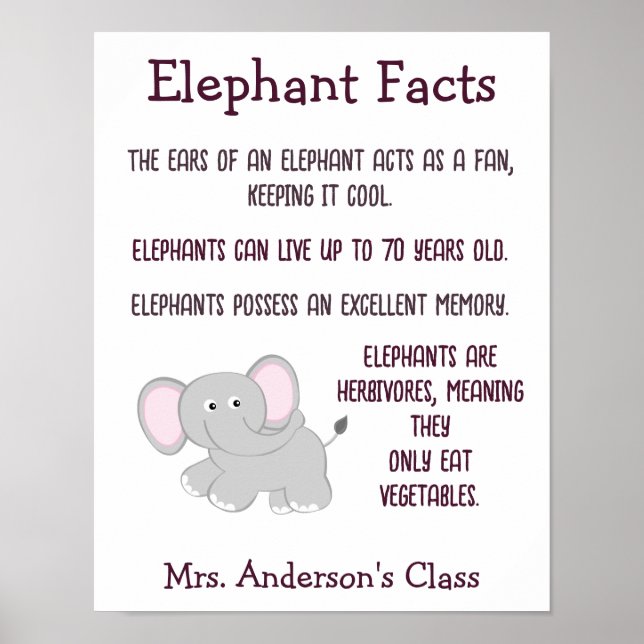 Elephant Facts Classroom Poster (Front)