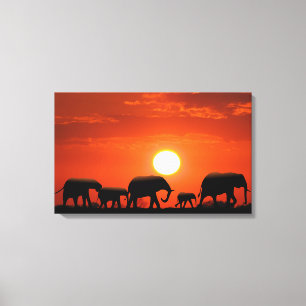 Elephant family canvas print