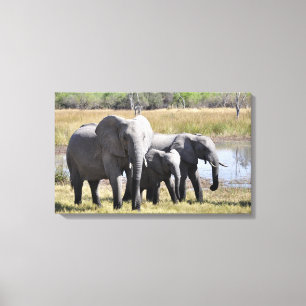 Elephant family canvas print