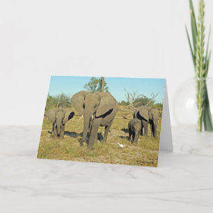 ELEPHANT FAMILY  CARD