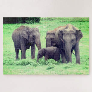 elephant family jigsaw puzzle