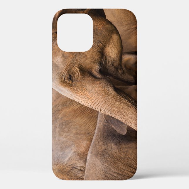 Elephant Family: Majestic Wildlife Case-Mate iPhone Case (Back)