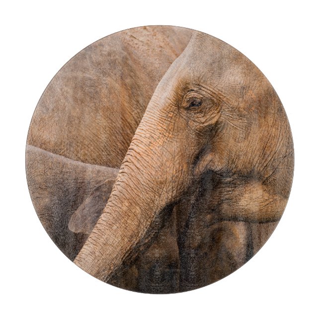 Elephant Family: Majestic Wildlife Cutting Board (Front)