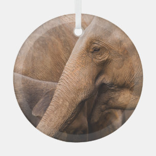 Elephant Family: Majestic Wildlife Glass Tree Decoration