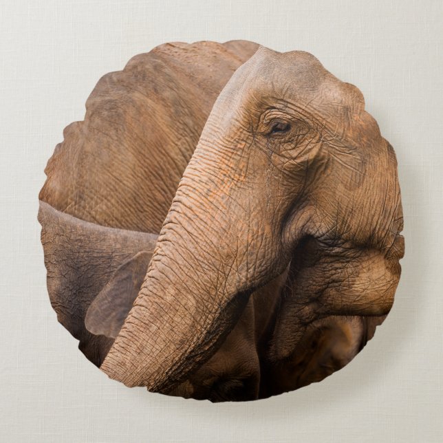 Elephant Family: Majestic Wildlife Round Cushion (Front)