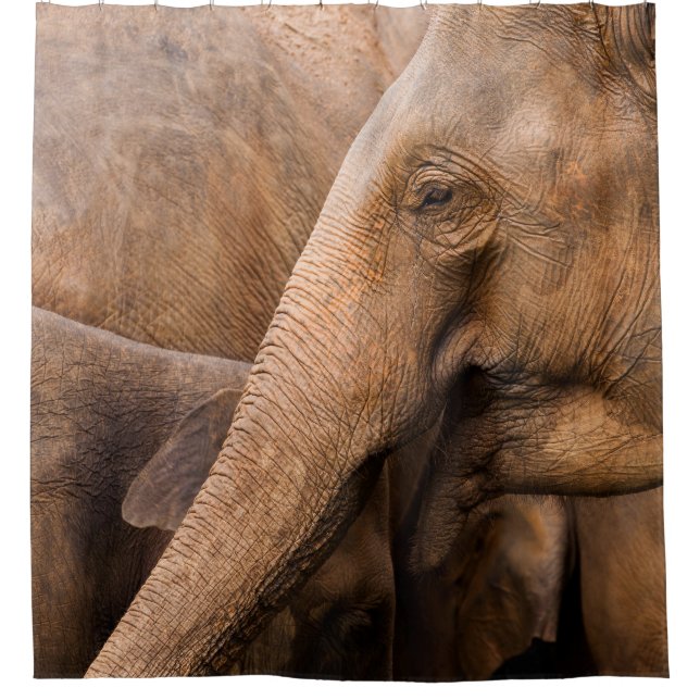 Elephant Family: Majestic Wildlife Shower Curtain (Front)