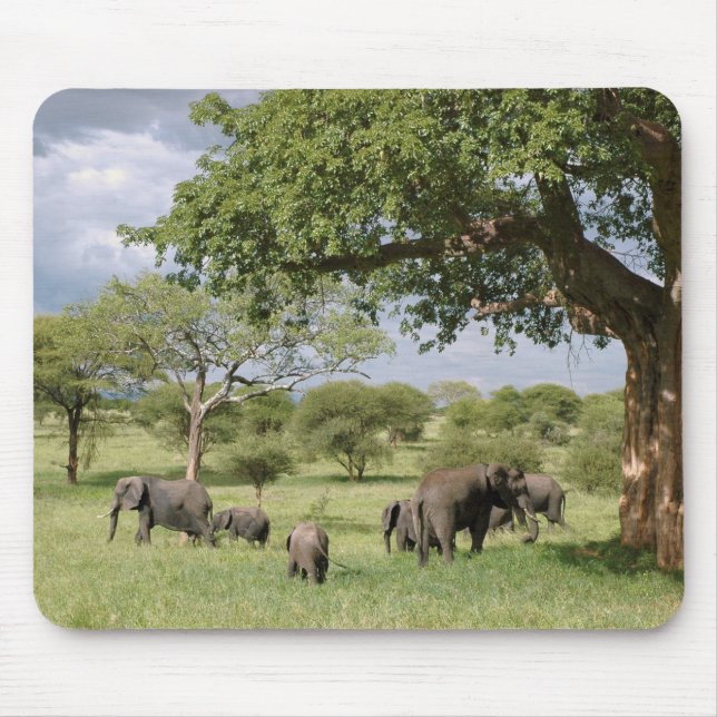 Elephant family mouse mat (Front)