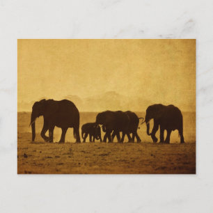 Elephant Family Postcard