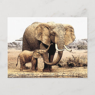 Elephant Family Postcard