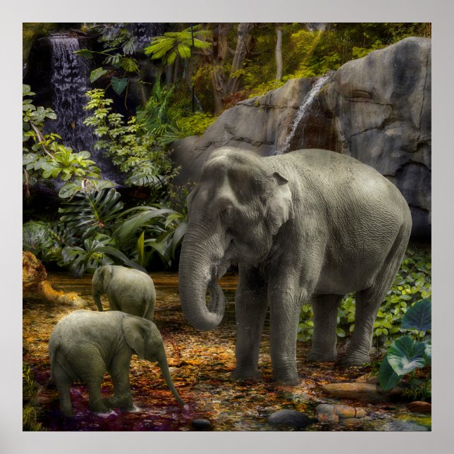 Elephant Family RAIN FOREST PARTY Poster (Front)