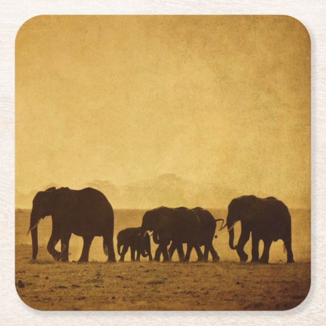 Elephant Family Square Paper Coaster (Front)