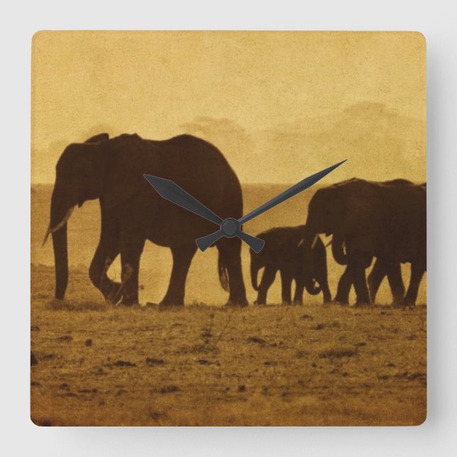 Elephant Family Square Wall Clock (Front)
