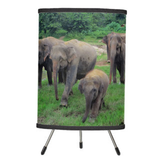 Elephant family table lamp