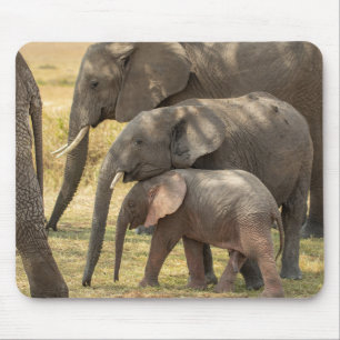 Elephant family /W Baby Showing Affection Mouse Mat