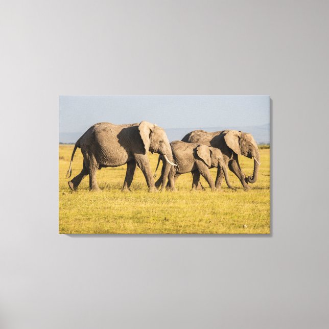 Elephant Family Walking Canvas Print (Front)