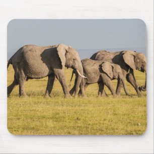Elephant Family Walking Mouse Mat
