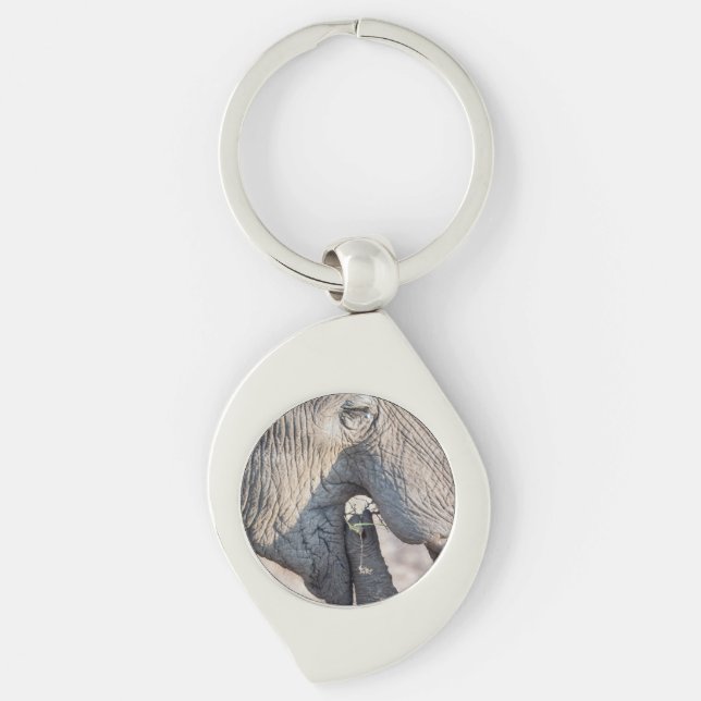 Elephant feeding key ring (Front)