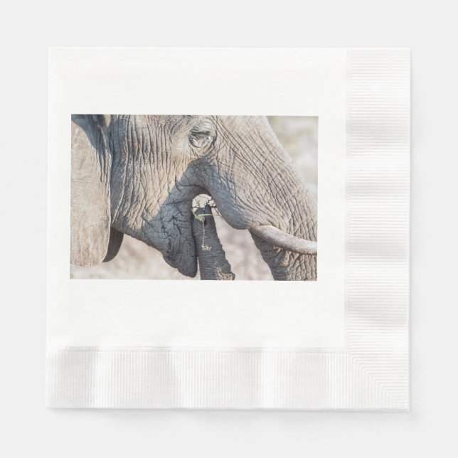 Elephant feeding napkin (Front)