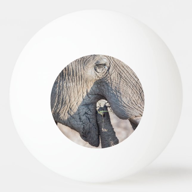 Elephant feeding ping pong ball (Back)