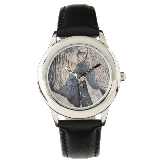 Elephant feeding watch (Front)