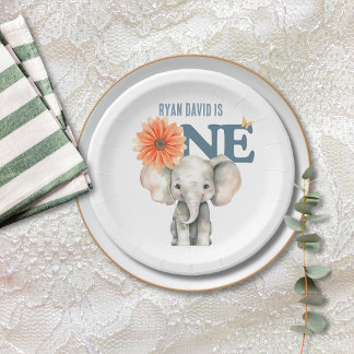 Elephant First Birthday Paper Plates | Safari