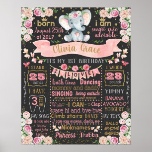 Elephant Floral First Birthday board sign