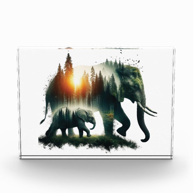 Elephant Forest  Photo Block (Front)