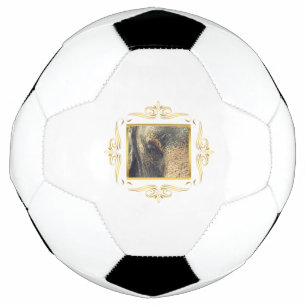 Elephant Framed Football