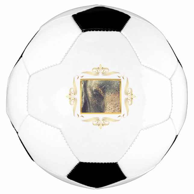Elephant Framed Football (Front)