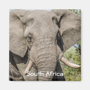 Elephant Fridge Magnet - South Africa