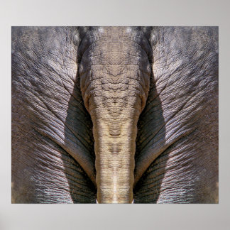 ELEPHANT FUN POSTER
