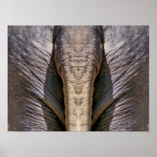 ELEPHANT FUN POSTER
